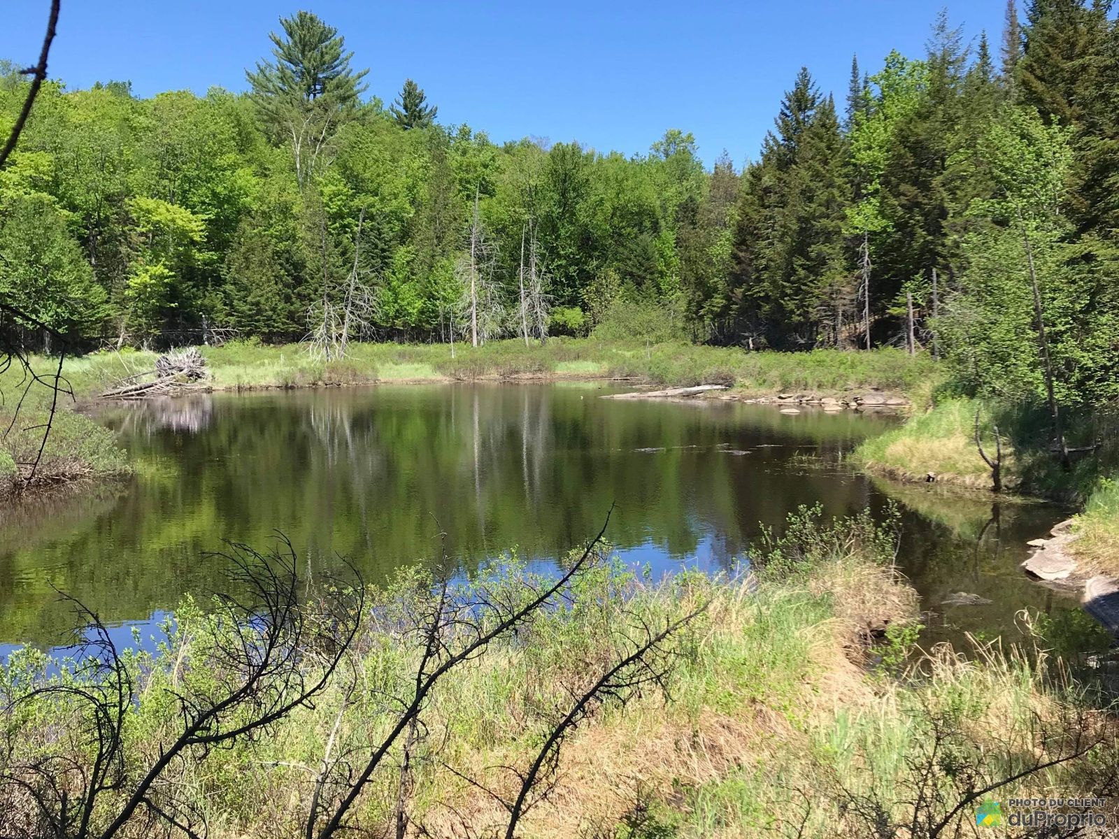 Terrain résidentiel à vendre LacAuxSables 973303 DuProprio