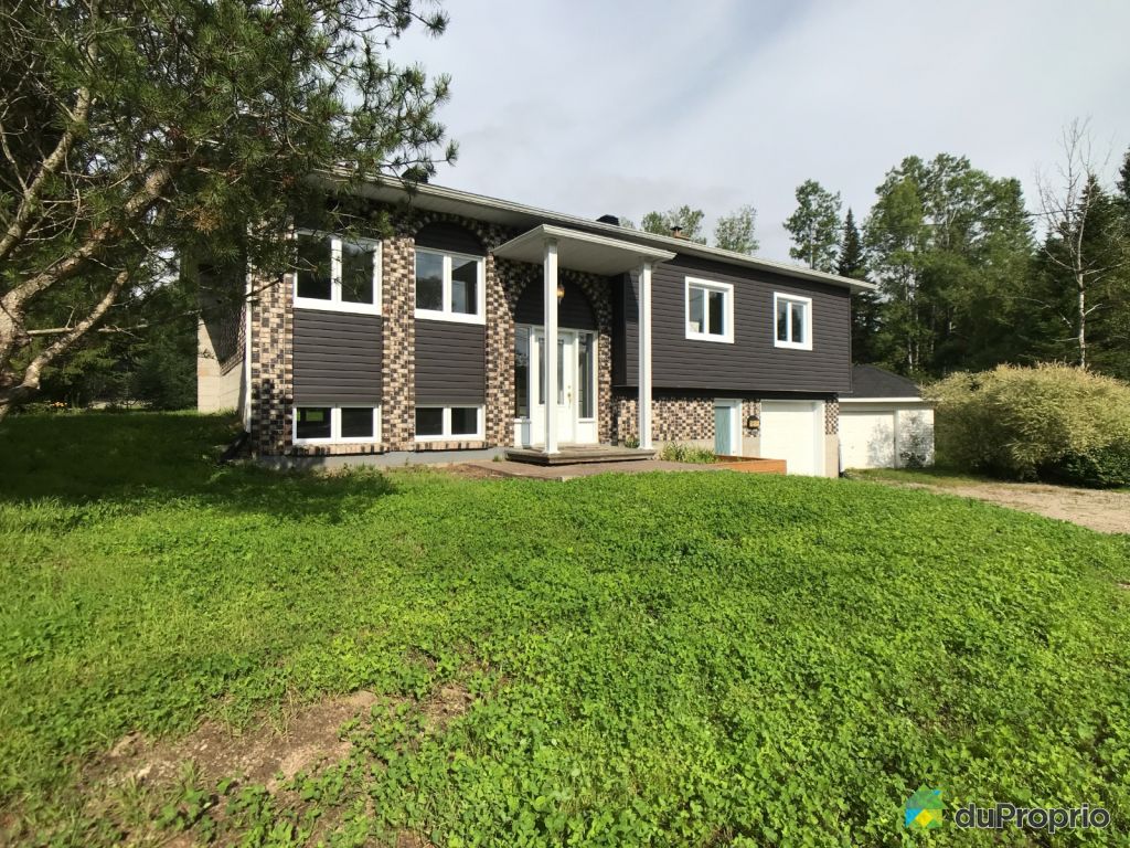 Maisons à vendre, StRaymond DuProprio