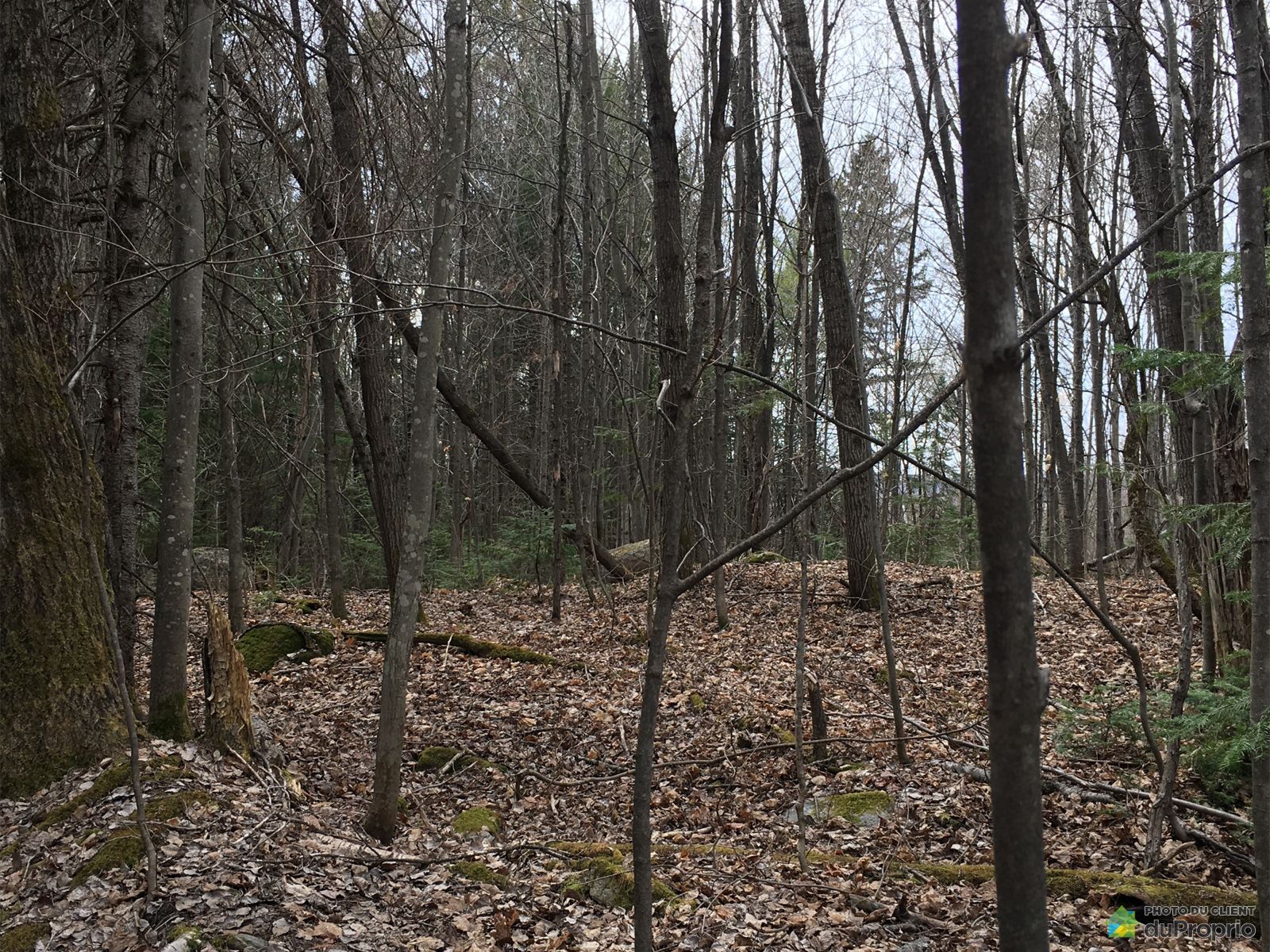 Chemin Du Lac Deligny — photo 3