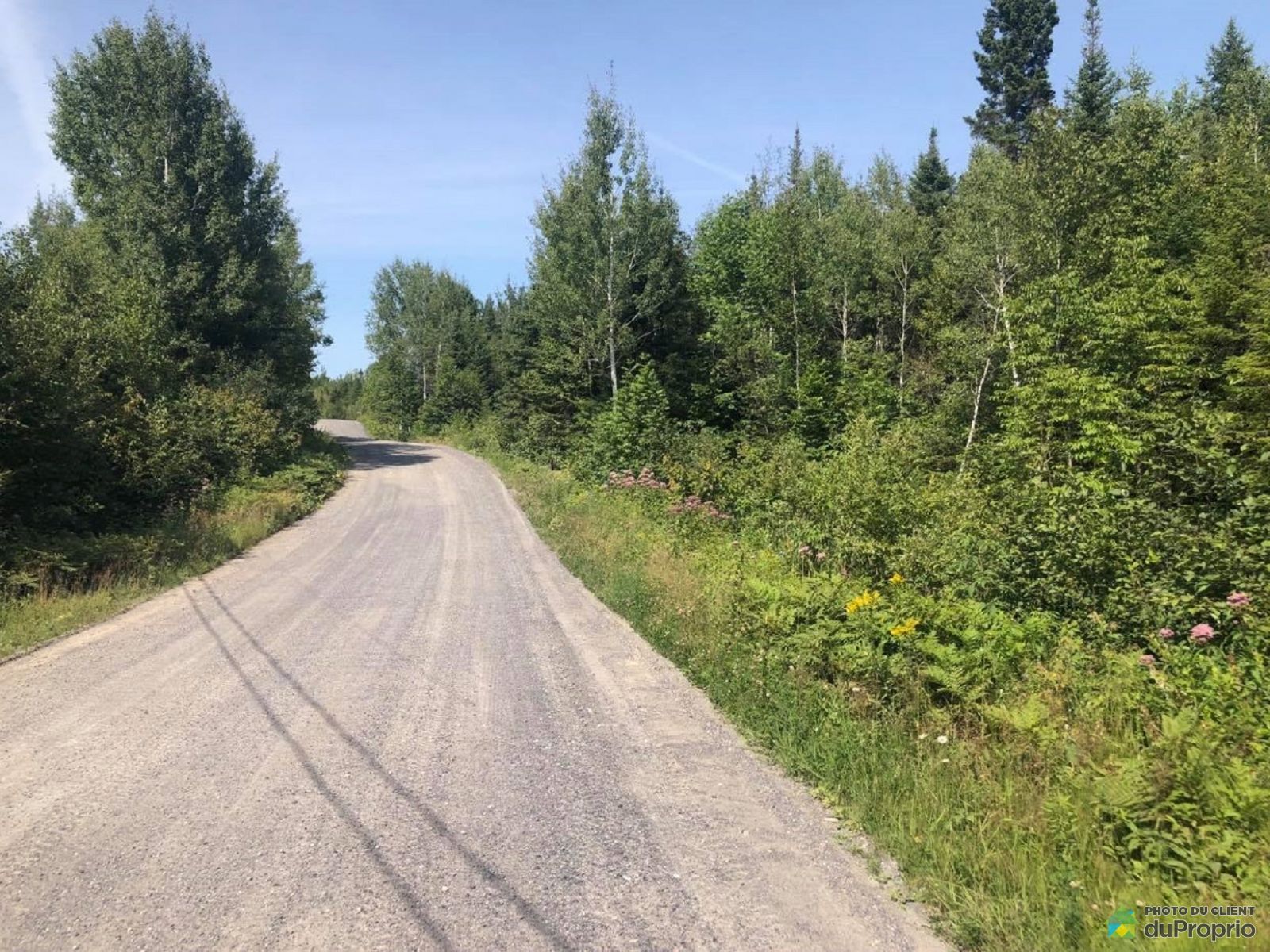 Terrain résidentiel à vendre StHenriDeTaillon 928049