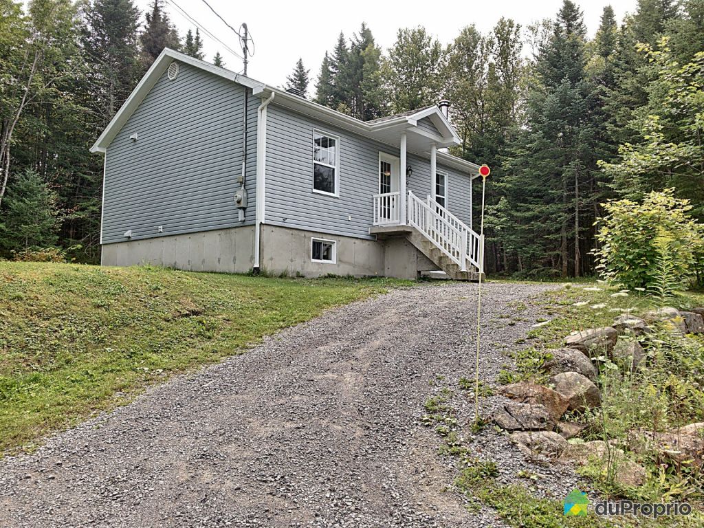 Maisons à vendre, SteBrigitteDeLaval DuProprio