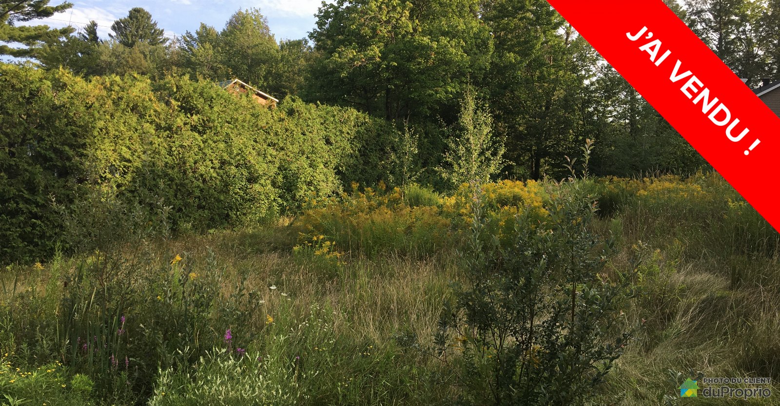 terrainterrainresidentielstfrancoisxavierdebrompton1600