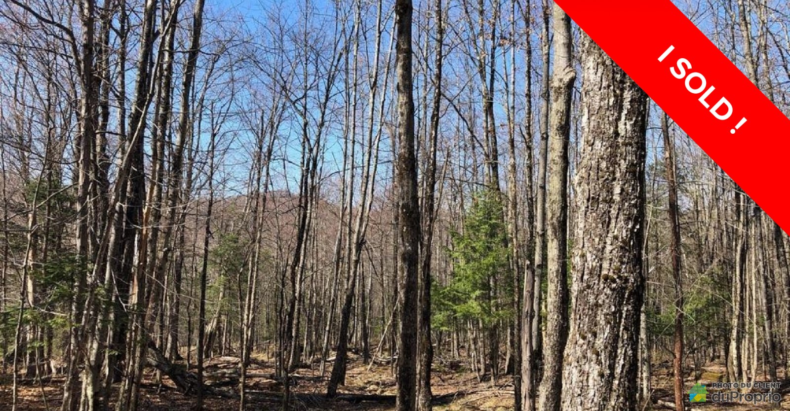 terrainterrainresidentielcantondehatley160012543166sold.jpg