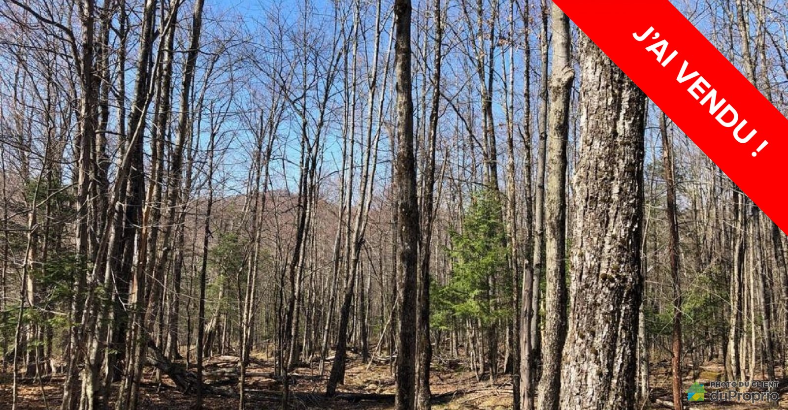 terrainterrainresidentielcantondehatley160012543166vendu.jpg