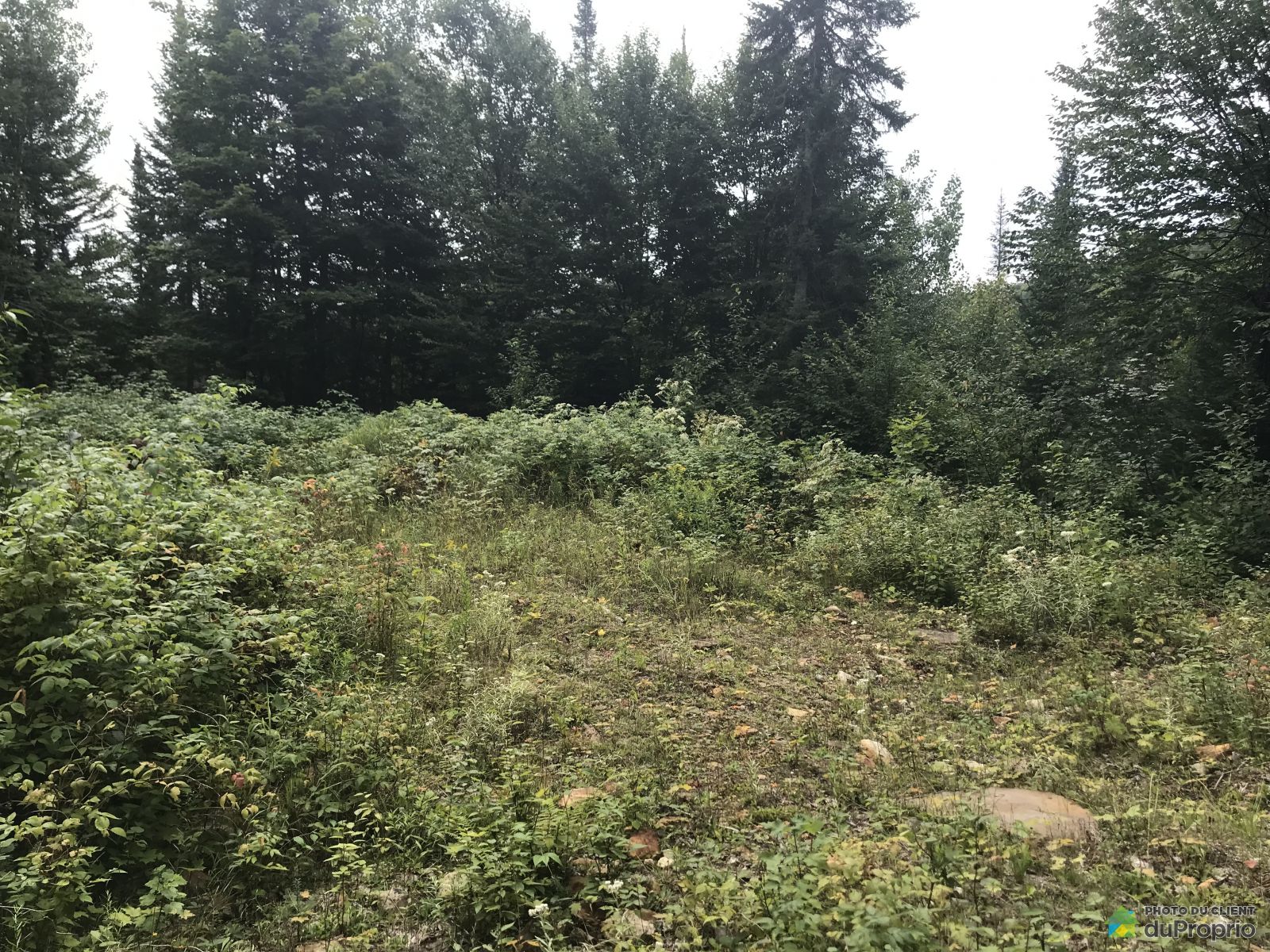 Terrain résidentiel à vendre LacAuxSables 979131