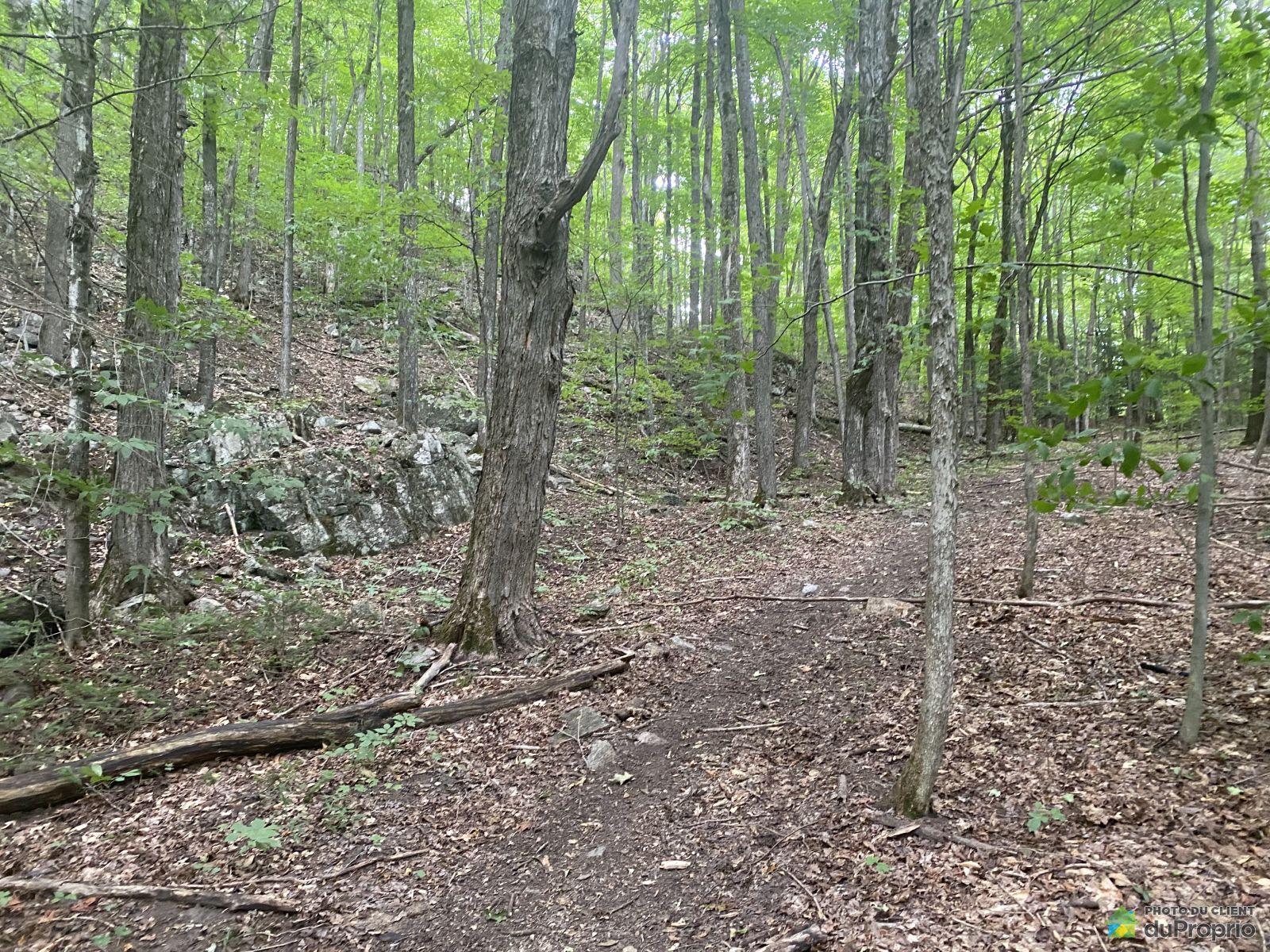 Chemin Flemming — photo 3