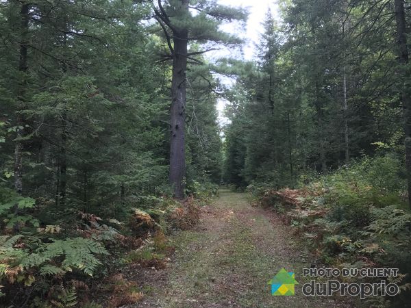 Terrains à vendre, Centre-du-Québec | DuProprio