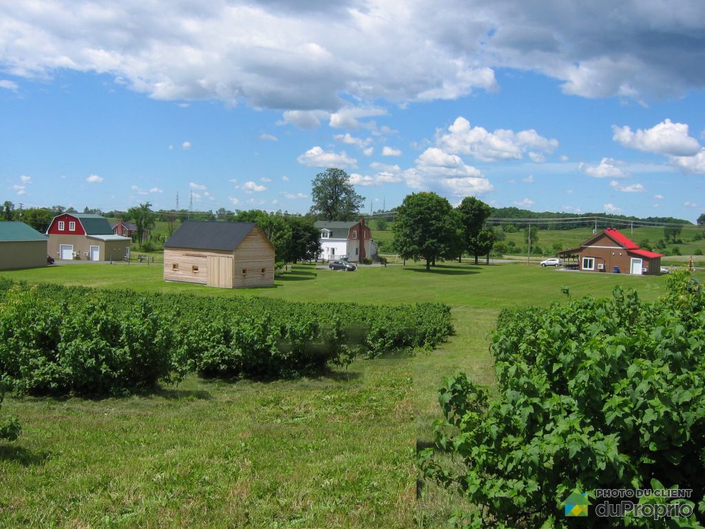 Maisons à vendre, StAndréD'Argenteuil