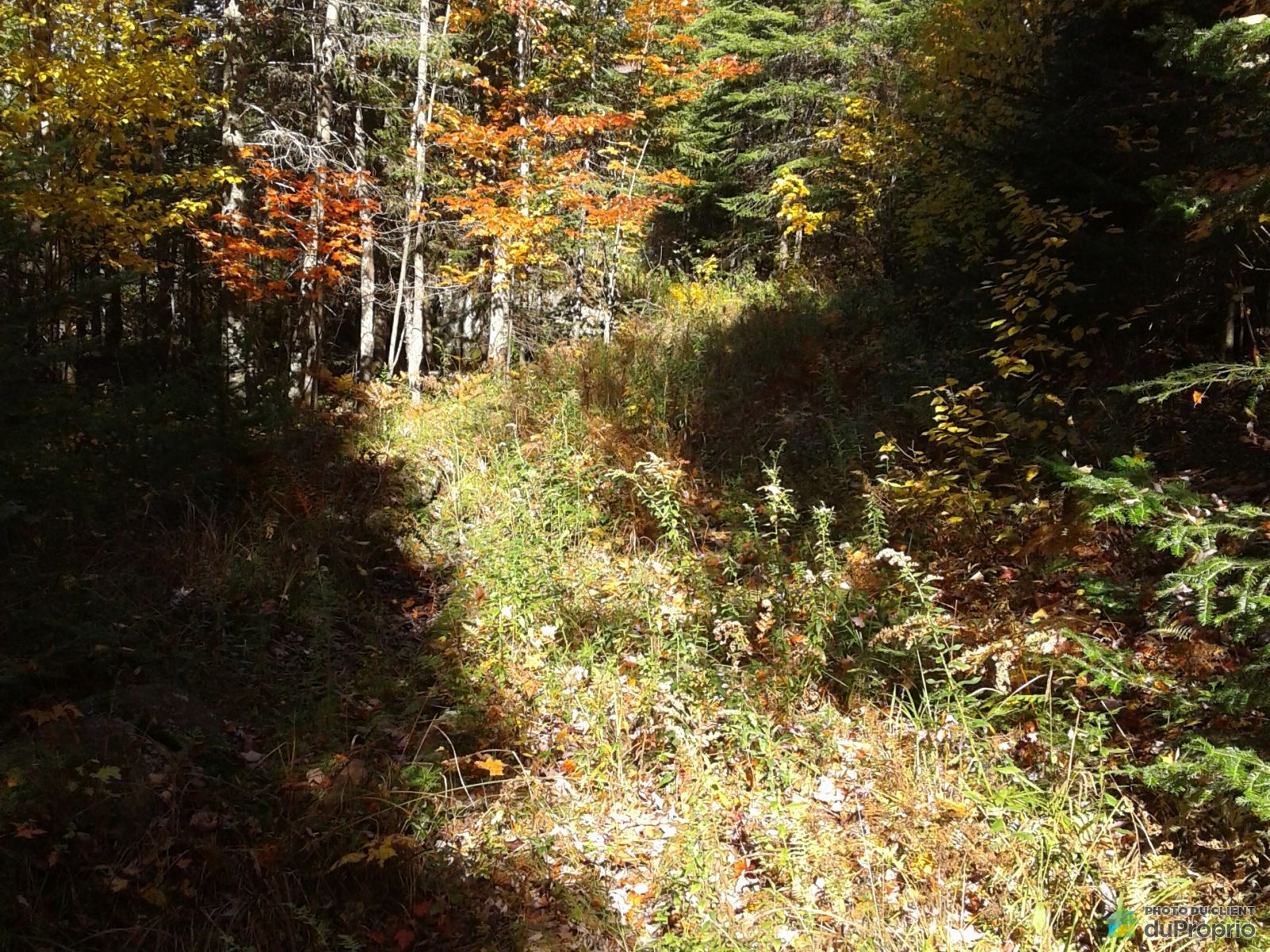 Chemin Du Lac Pilon — photo 3