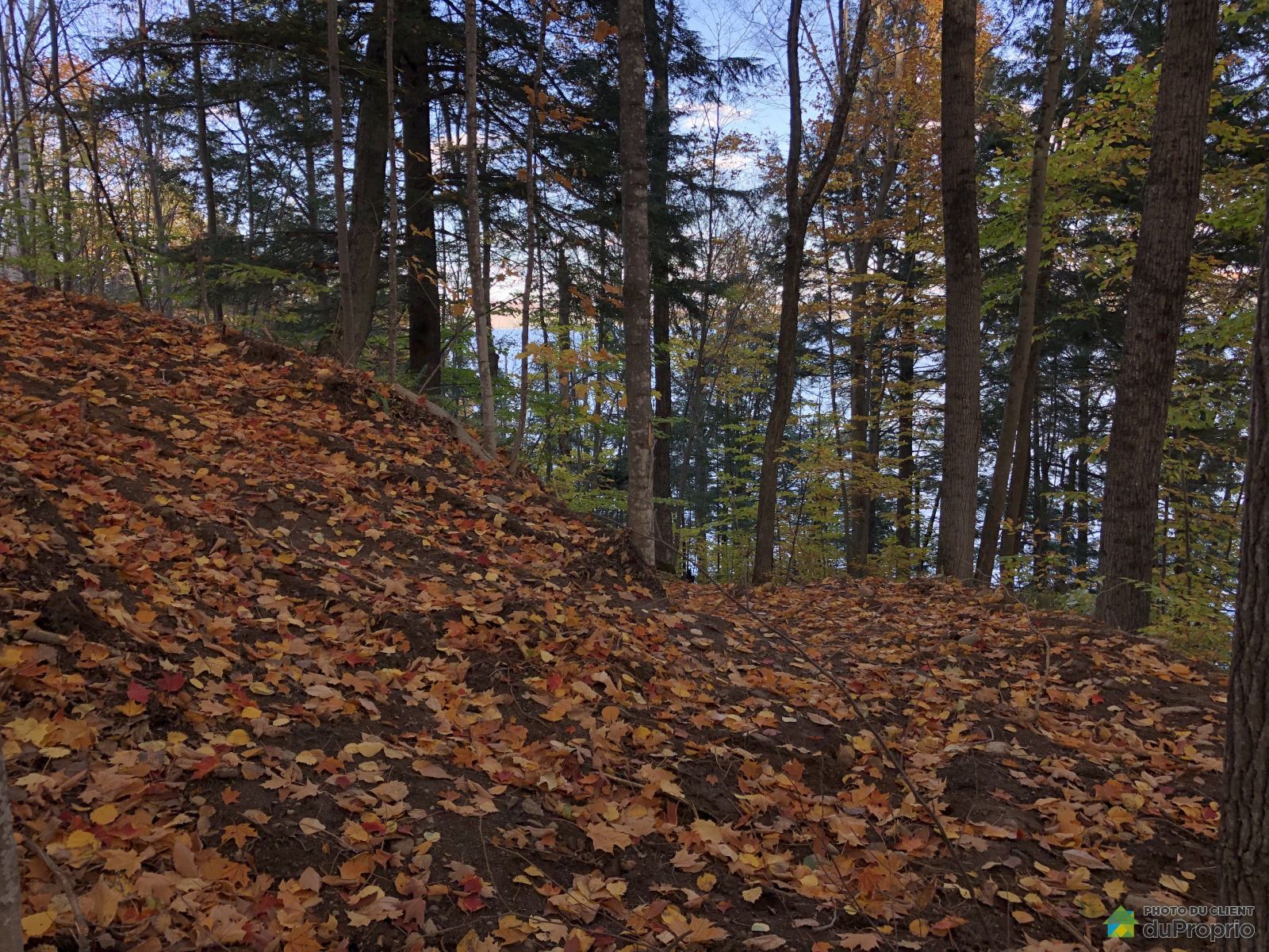 Chemin Mayer — photo 3
