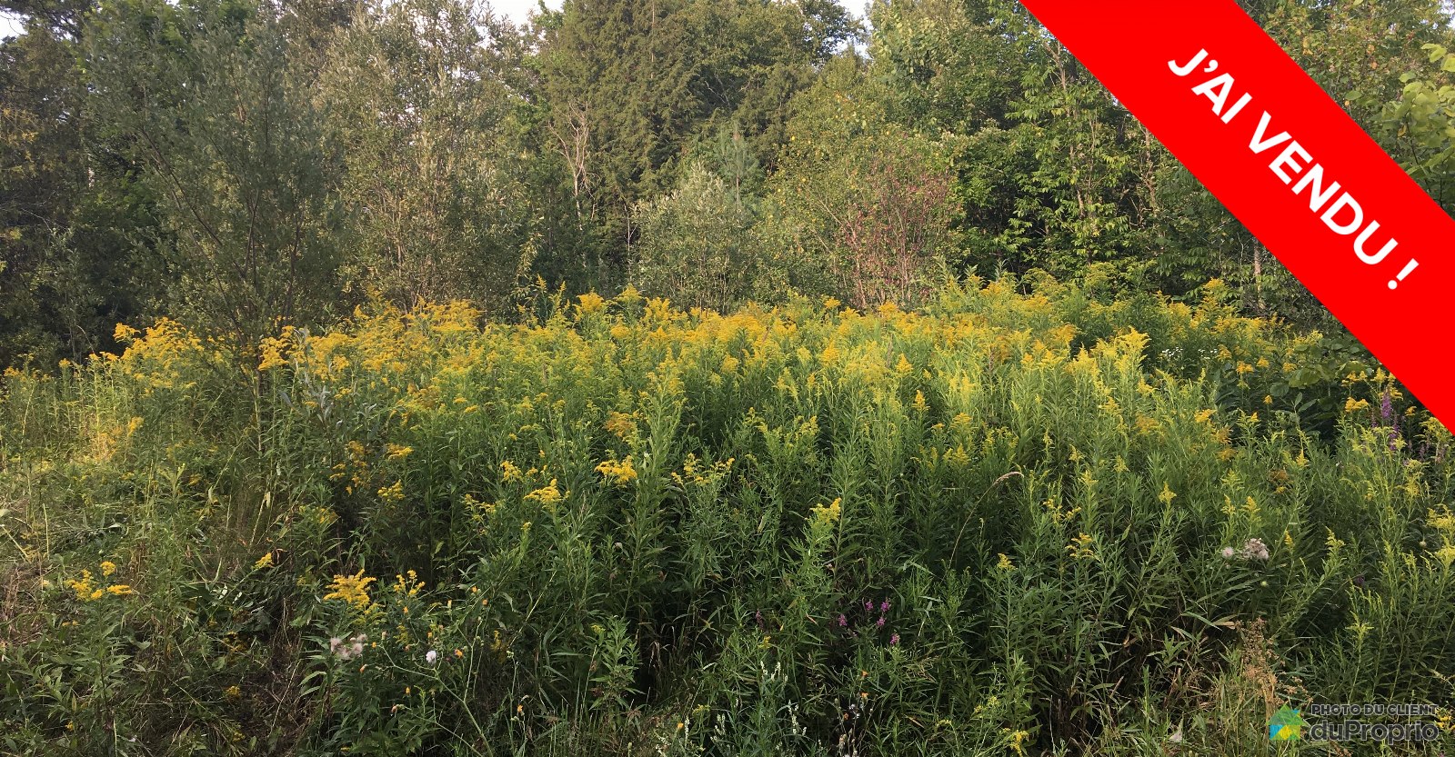 terrainterrainresidentielstfrancoisxavierdebrompton1600