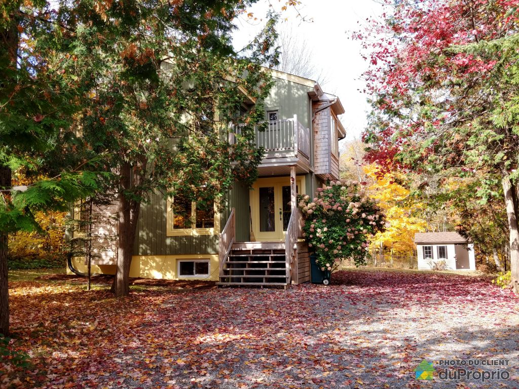 Condos, maisons à vendre, StSauveur DuProprio