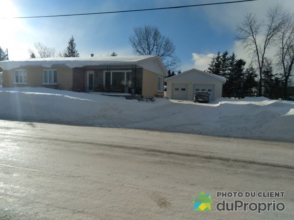 28, rue Lacroix, Sayabec à vendre
