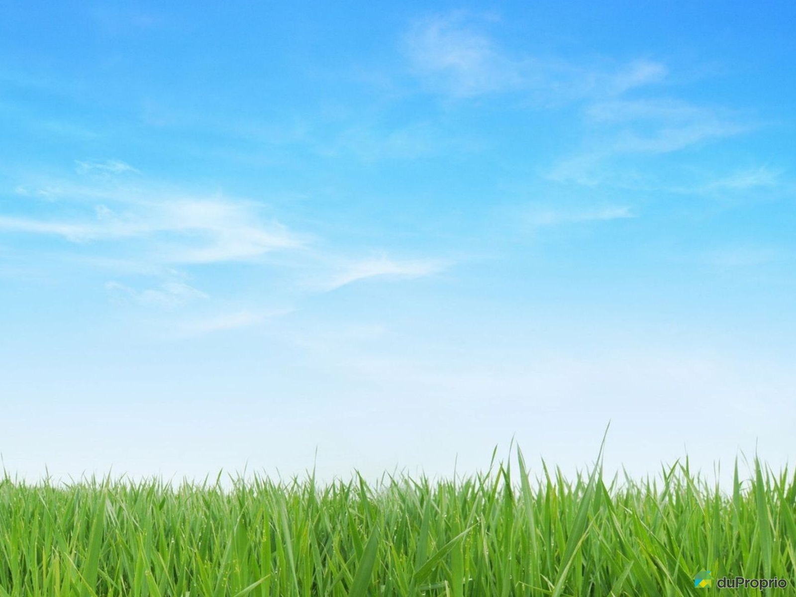 Terrain résidentiel à vendre MontBlanc (StFaustinLacCarré) 1005600