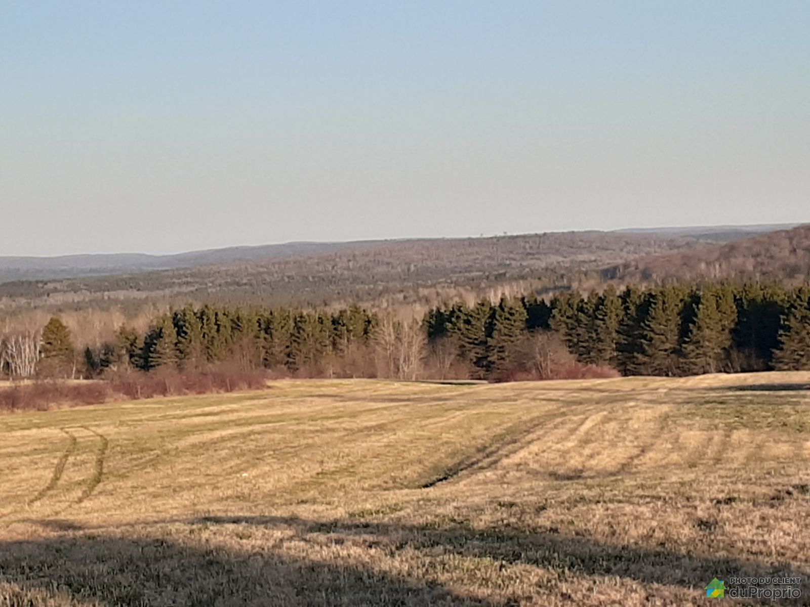 Terre agricole à vendre StPamphile 1005127