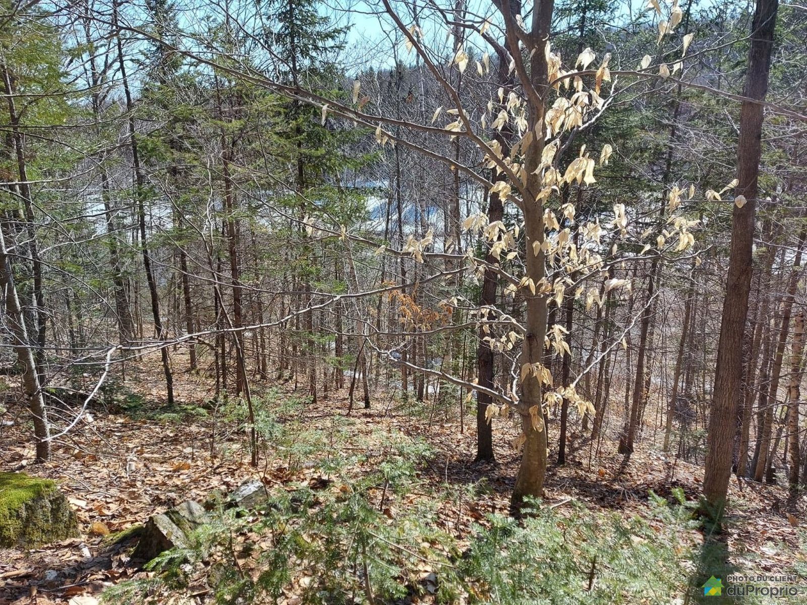 Residential Lot for sale StAlphonseRodriguez 1007891