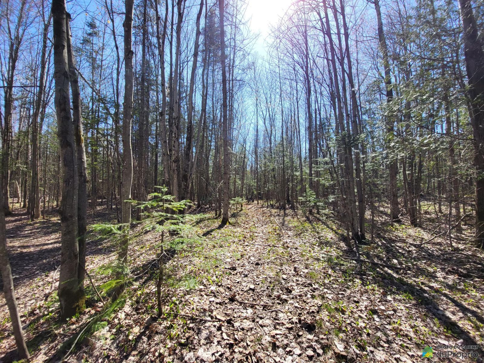 Chemin Laliberte — photo 3