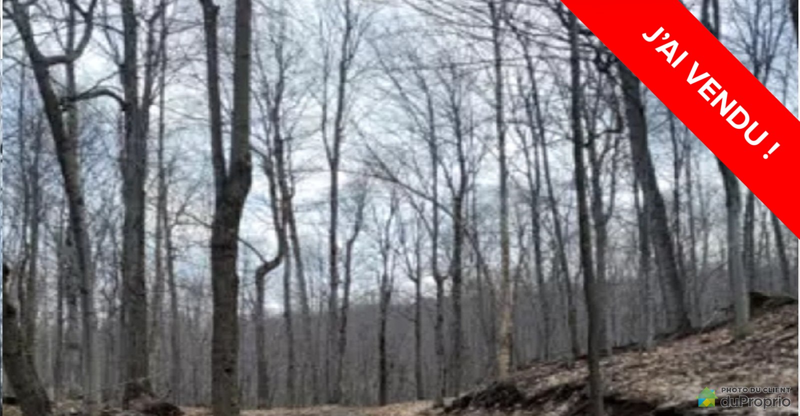 terreaboisrougemont160013087874vendu.jpg
