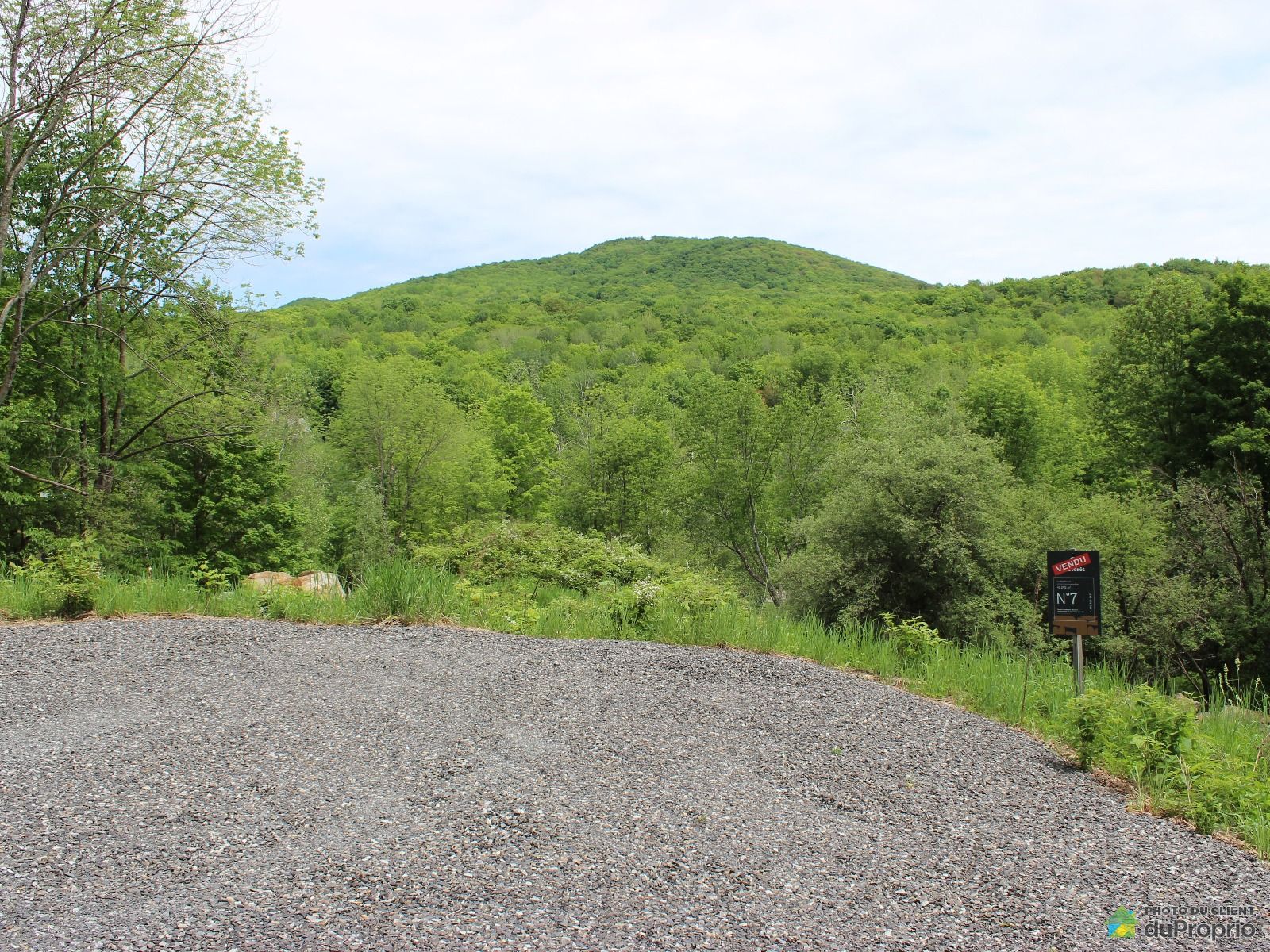 Terrain résidentiel à vendre Bromont 1011324