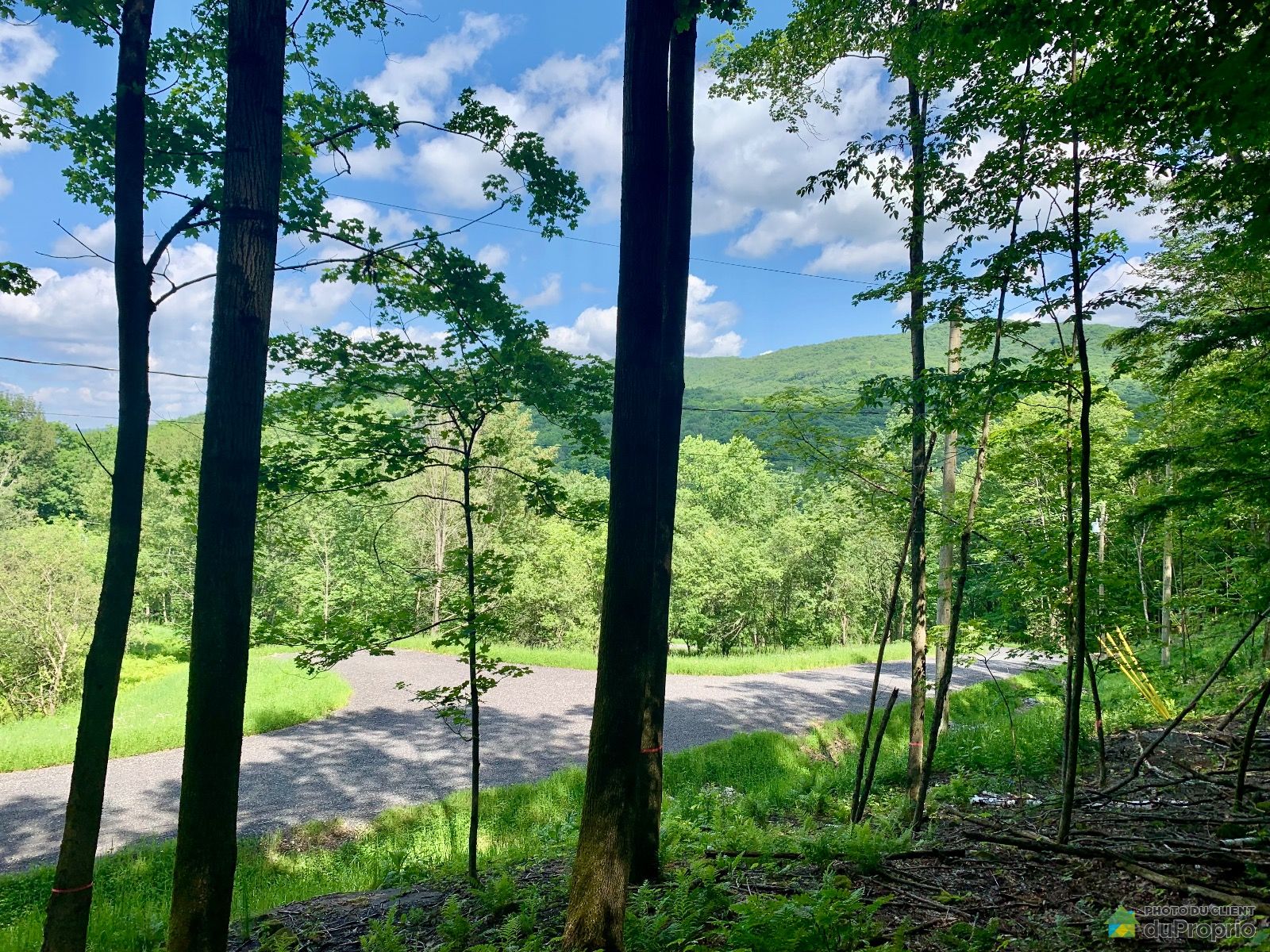 Terrain résidentiel à vendre Bromont 1014356