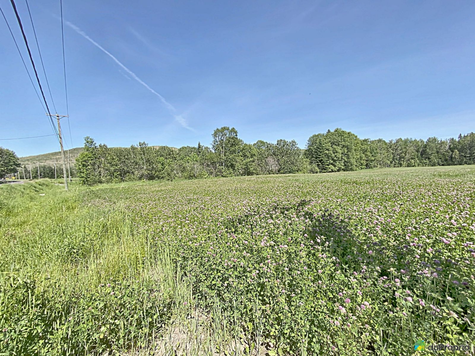 342 Route 295 — photo 3