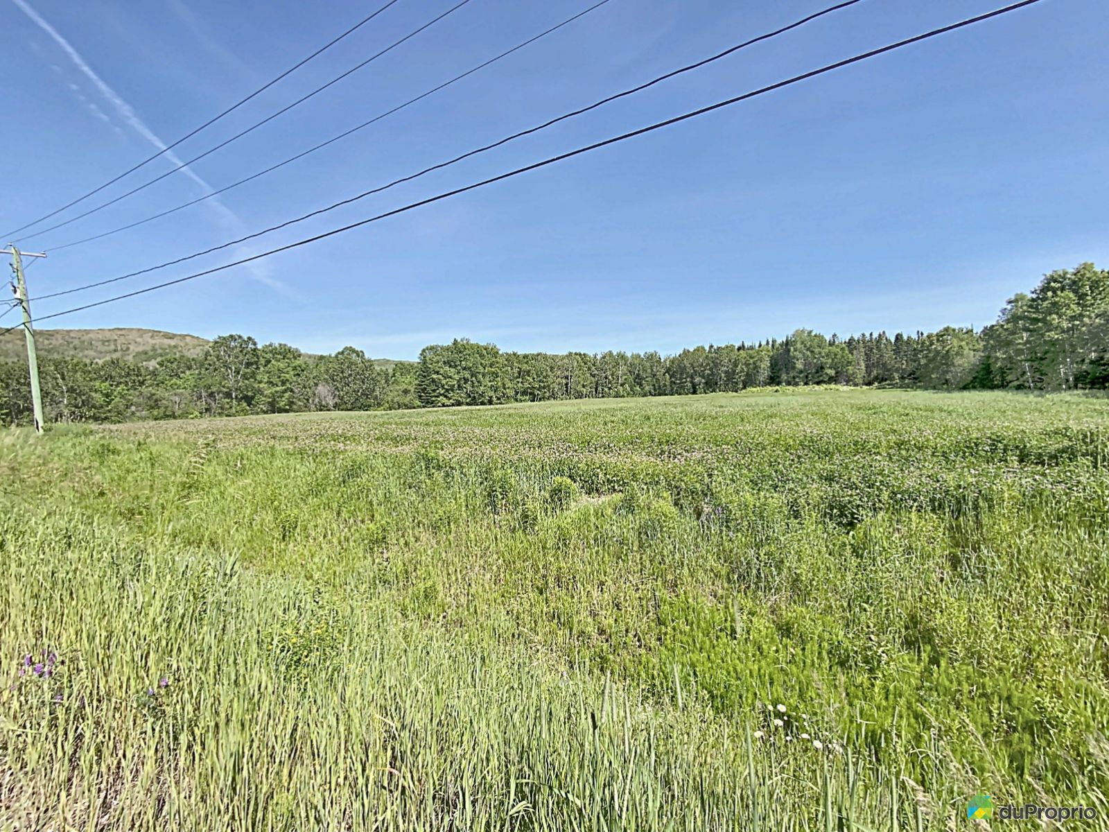 Terrain récréatif à vendre Degelis 1014377