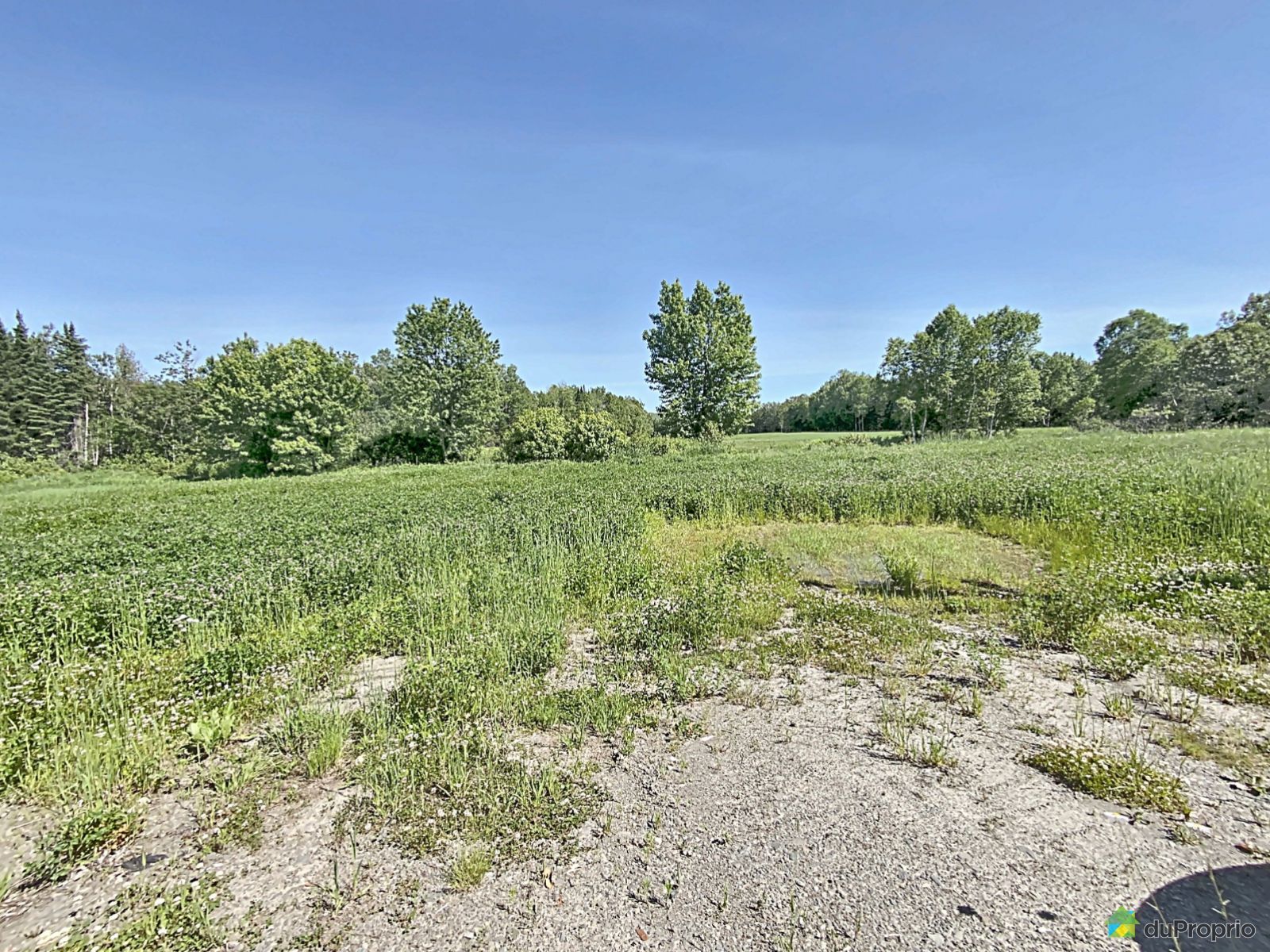 342 Route 295 — photo 2
