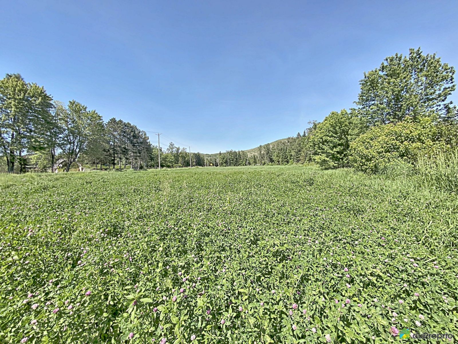 Terrain de camping à vendre TémiscouatasurleLac 1014378