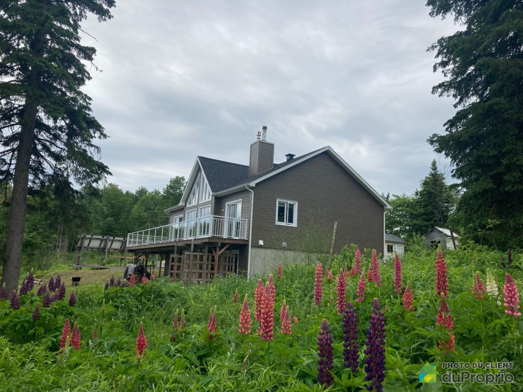 Condos, maisons à vendre, StLucDeBellechasse