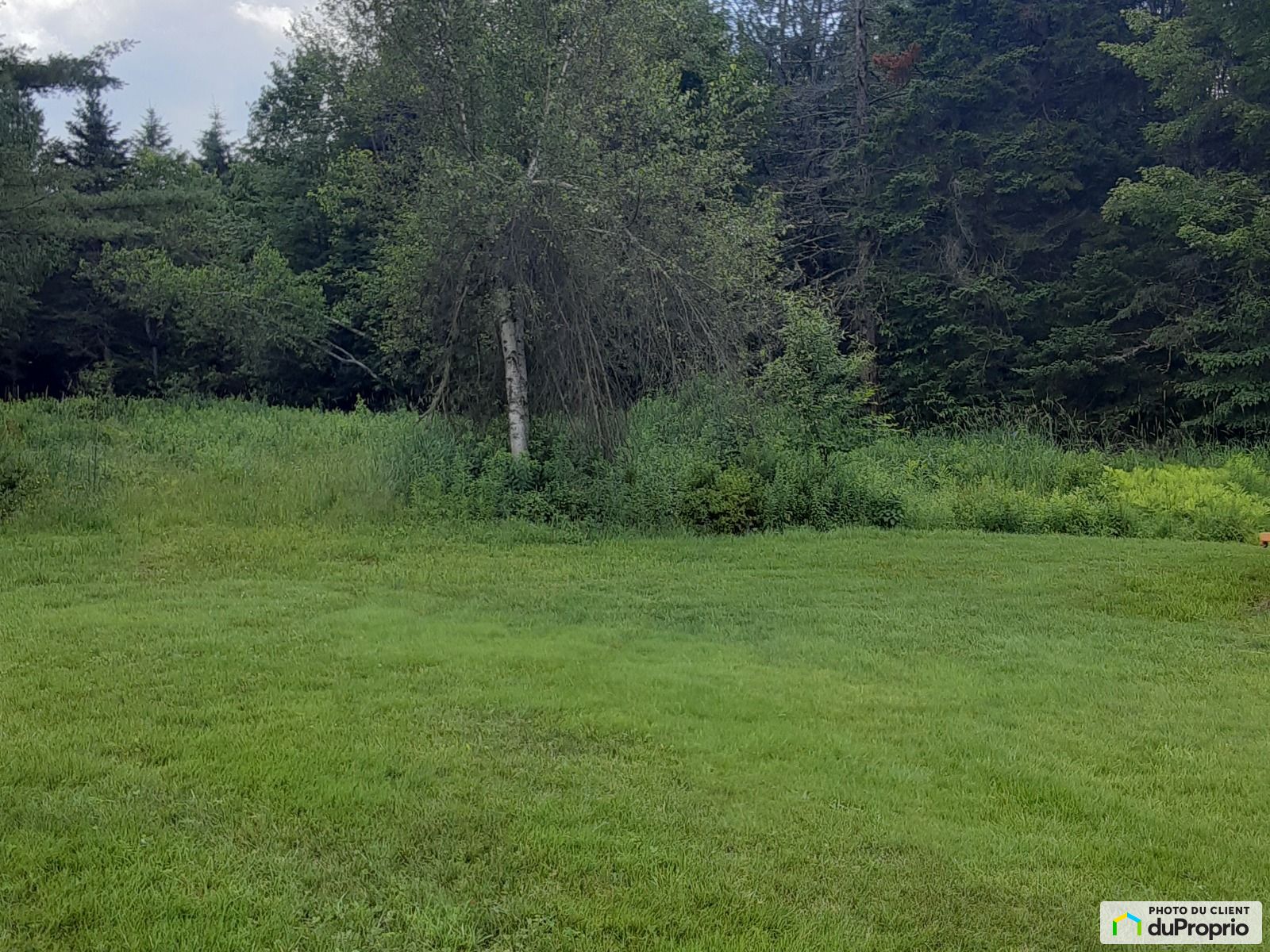 Terrain résidentiel à vendre Eastman 1015168