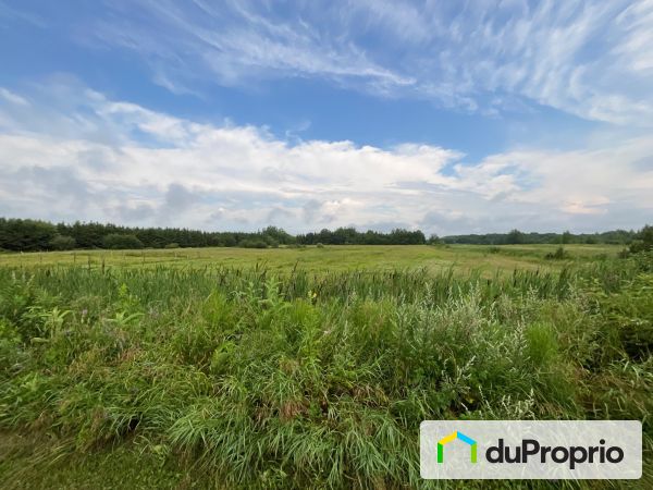 Vue arrière - 2762 chemin Bois-Clair, St-Antoine-De-Tilly à vendre