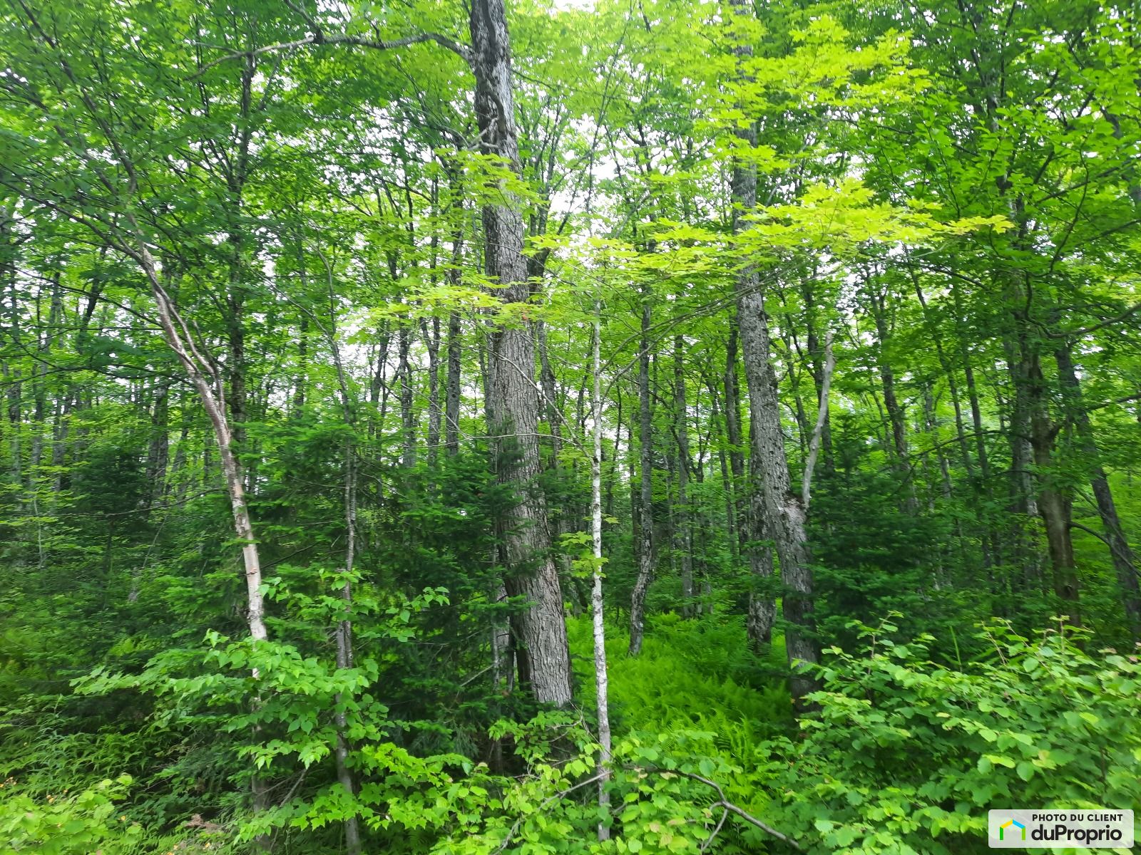 Terrain résidentiel à vendre StMagloireDeBellechasse 1015960