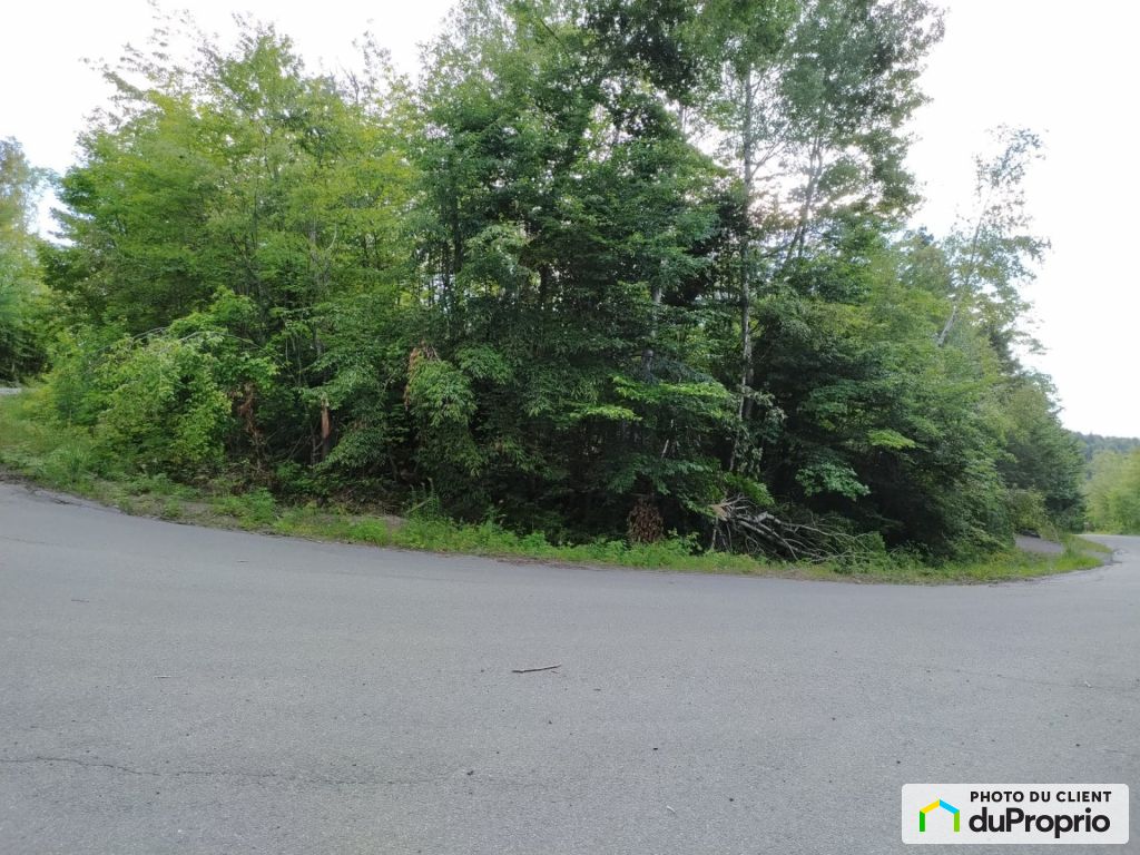 Condos, maisons à vendre, SteAgatheDesMonts