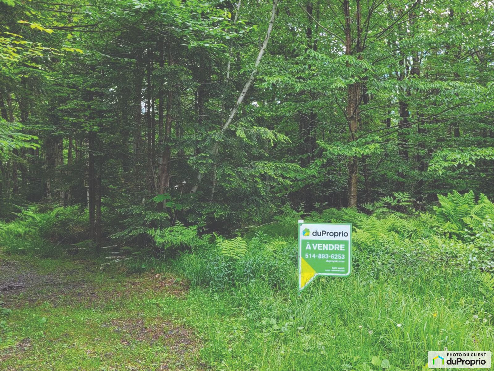 Terrain résidentiel à vendre Eastman 1011465