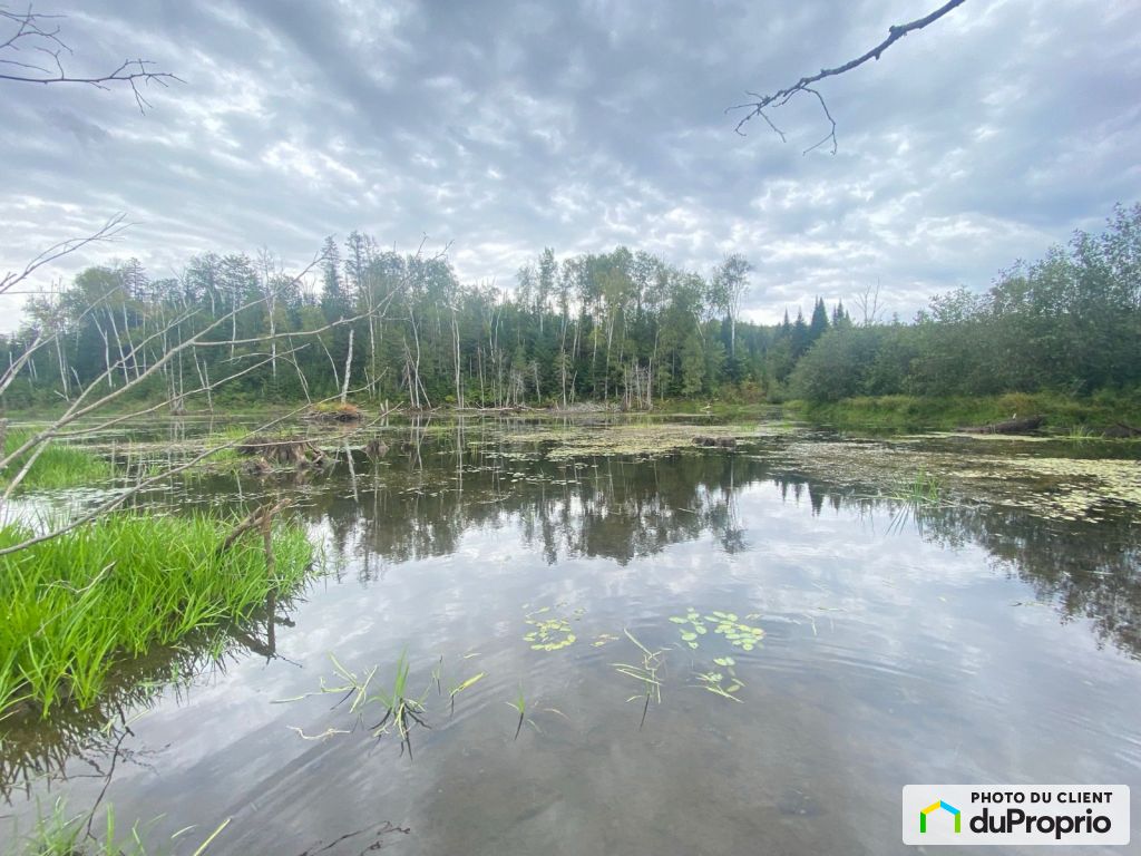 Lots and lands for sale in StAlphonseRodriguez, Real Estate DuProprio