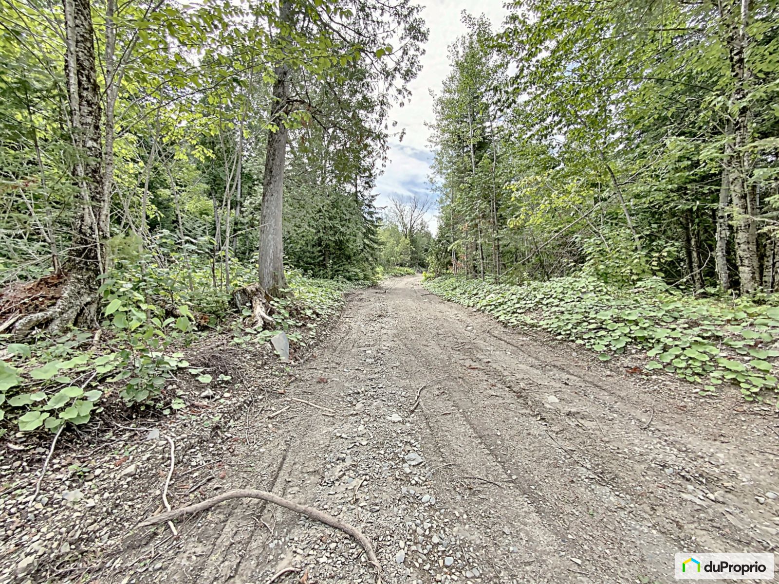 103 Chemin De Lile — photo 3
