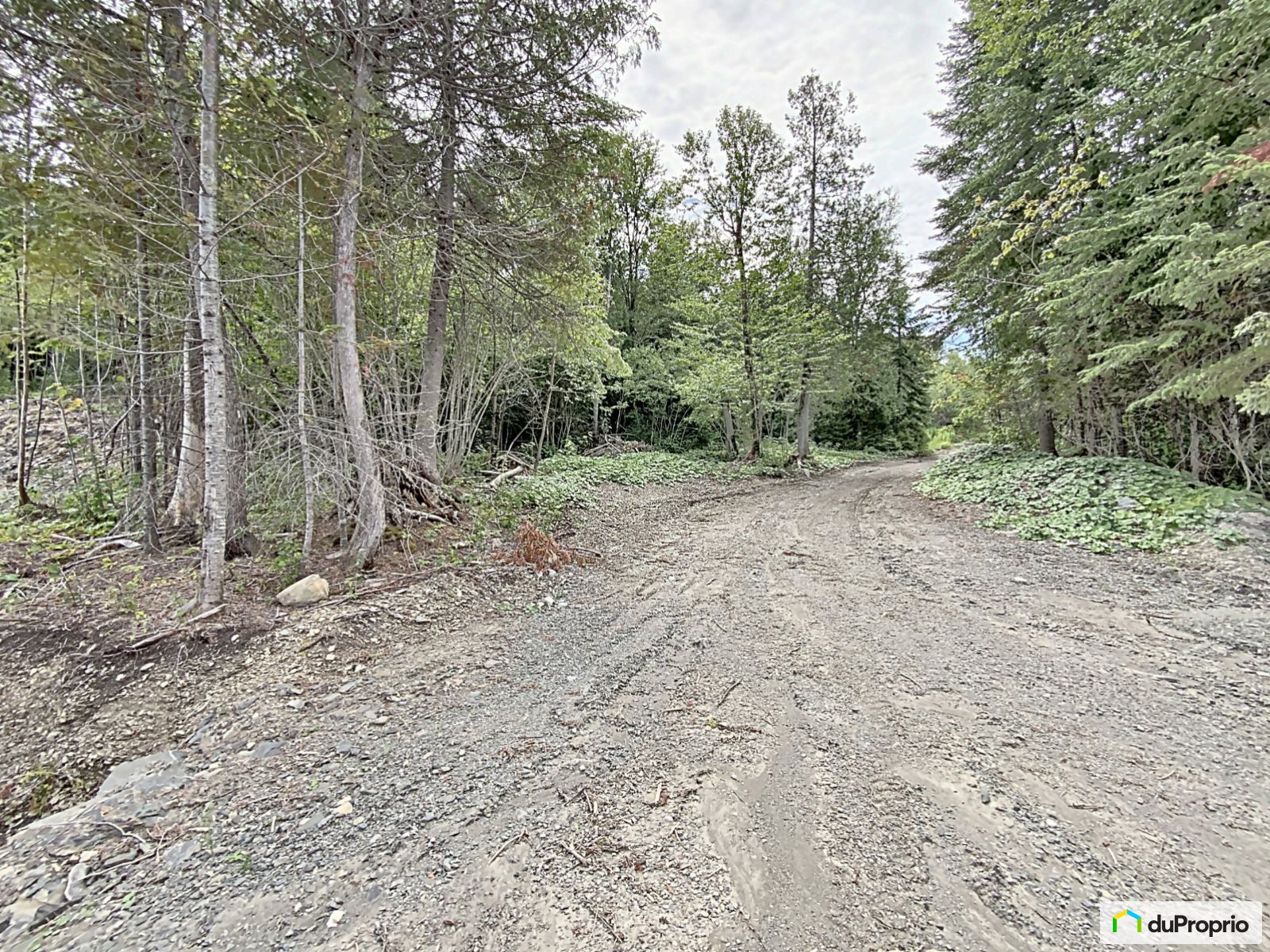 Terrain résidentiel à vendre TémiscouatasurleLac 1017914