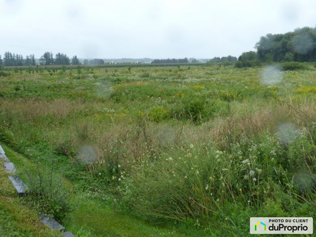 Terrains à vendre, StAugustinDeDesmaures