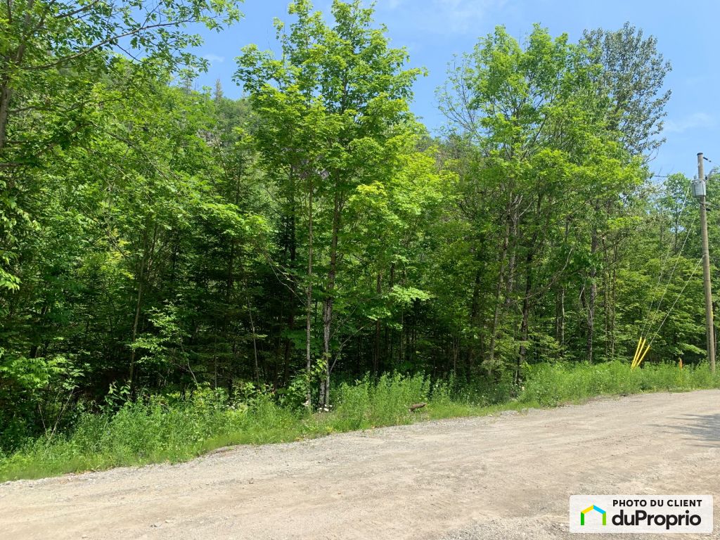 La Pêche (Wakefield) Real Estate for sale