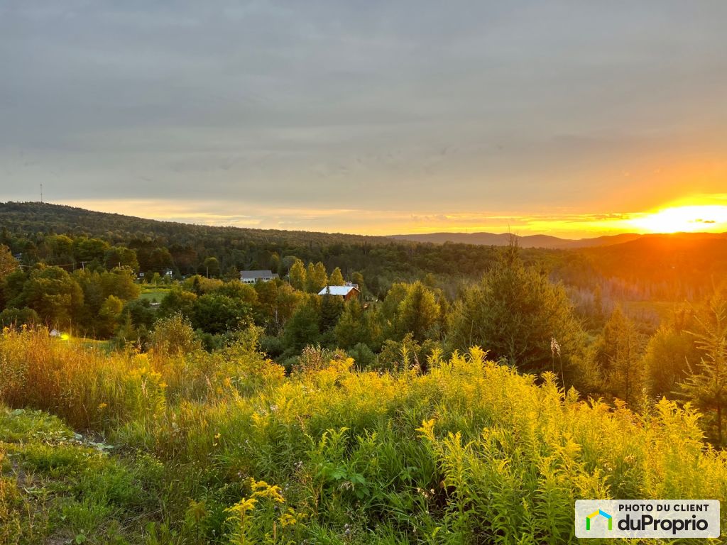 StSauveur Real Estate for sale