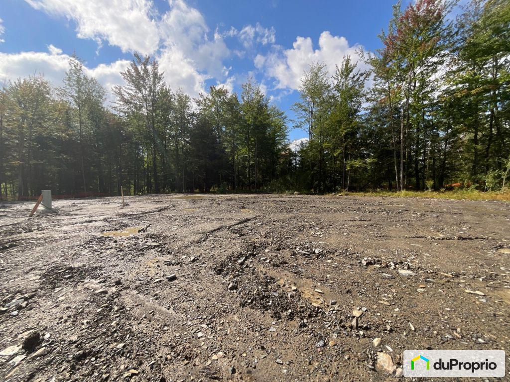 Condos, maisons à vendre, Bromont