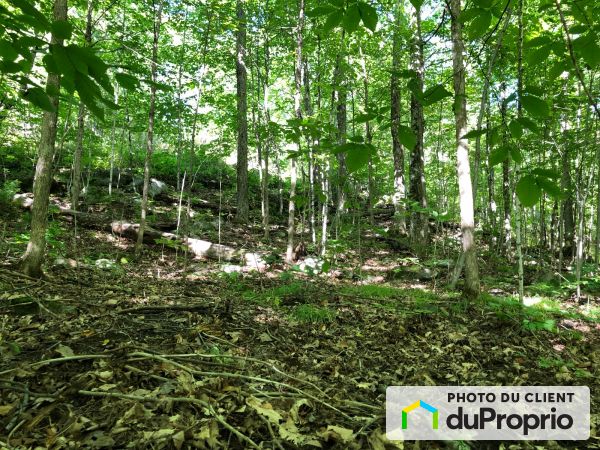 147, chemin de Morrison Heights, La Pêche (Wakefield) à vendre