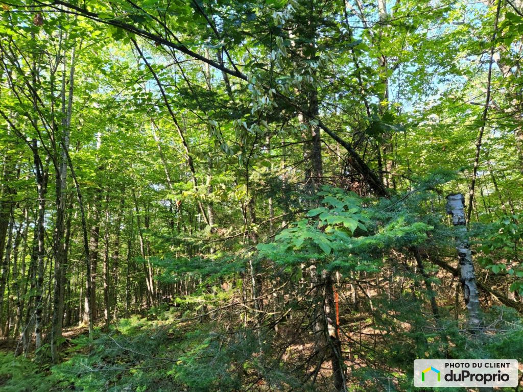 Terrains à vendre, ValDesMonts
