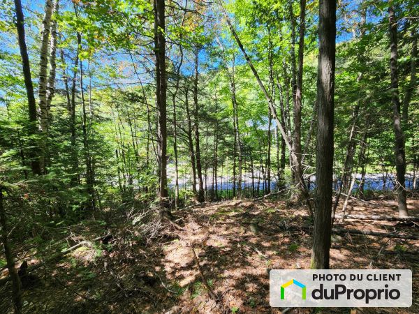chemin du Mont-Sauvage, Ste-Adèle à vendre