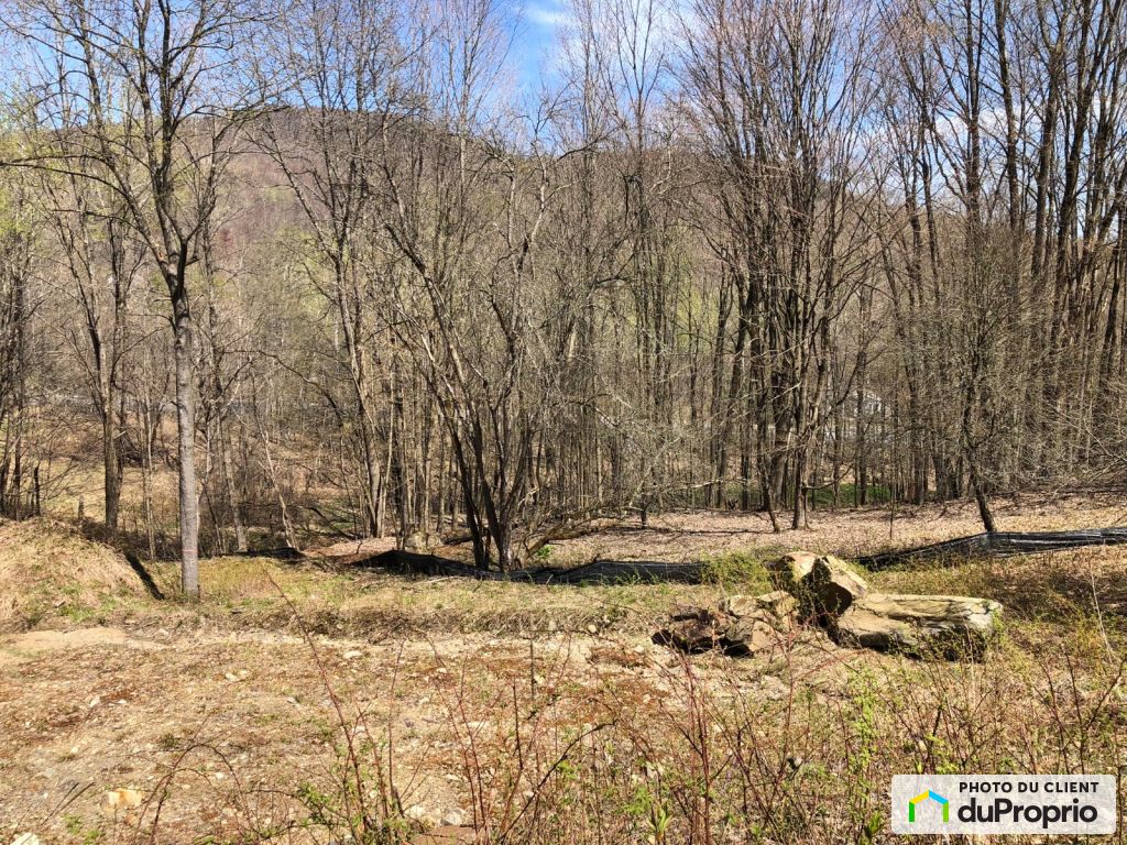 Condos, maisons à vendre, Bromont