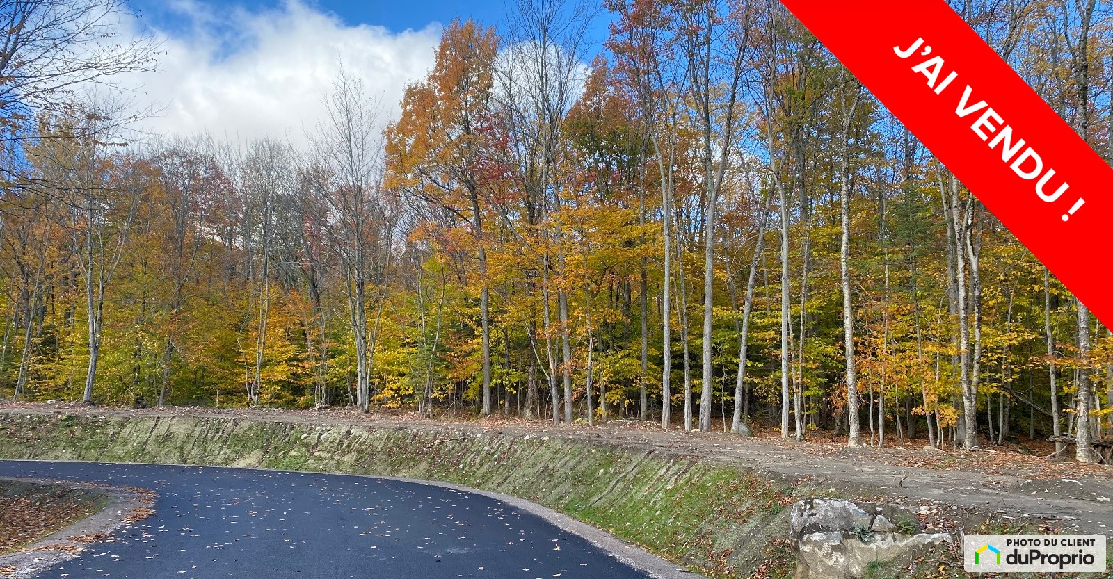 terrainresidentielfossambaultsurlelac160013368448vendu.jpg