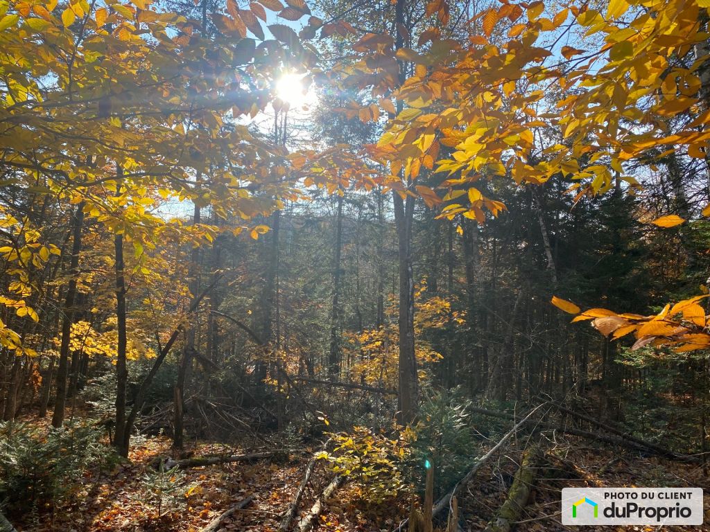 Houses for sale in StSauveur, Real Estate DuProprio