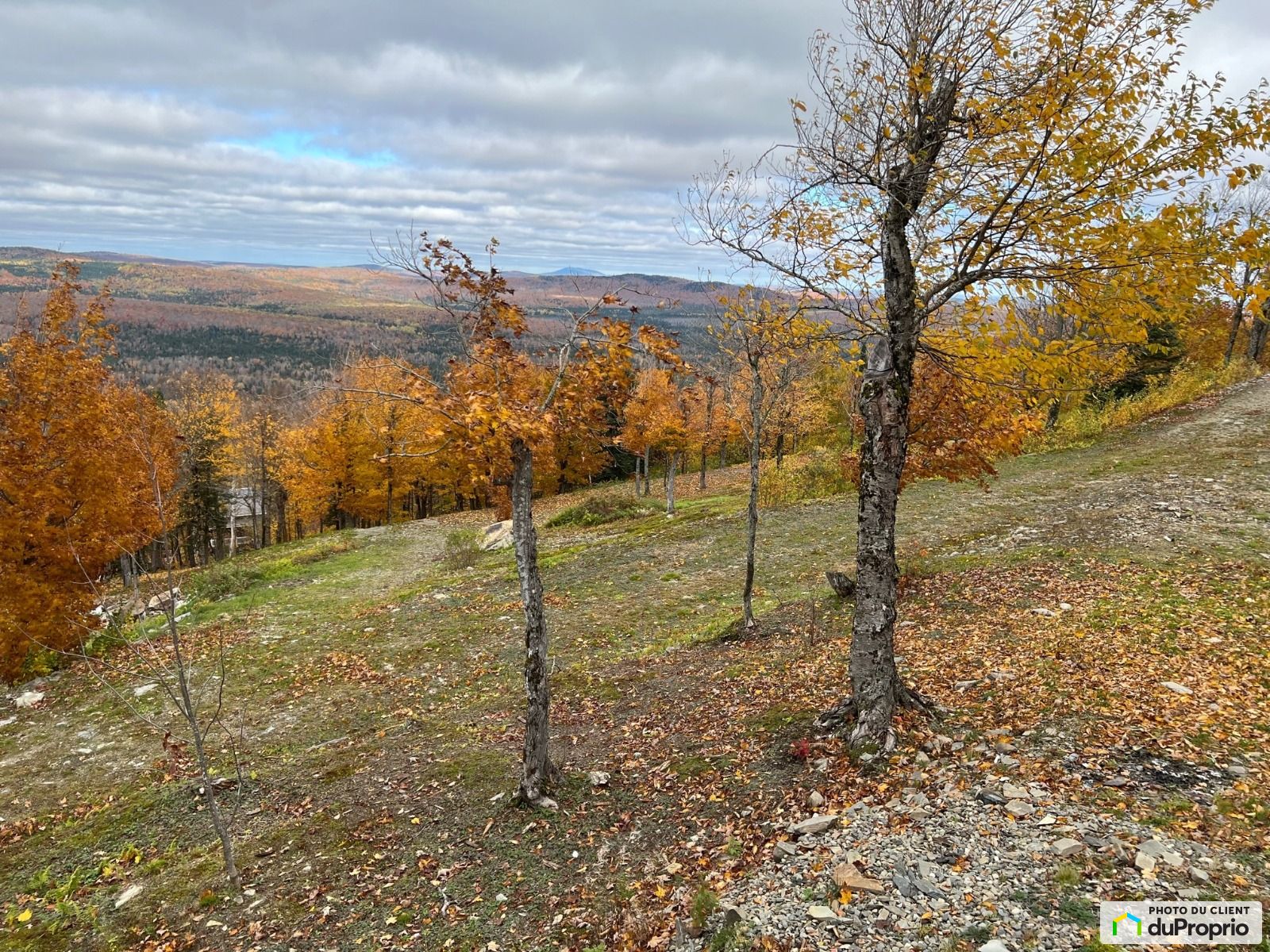Chemin Du Sommet — photo 3