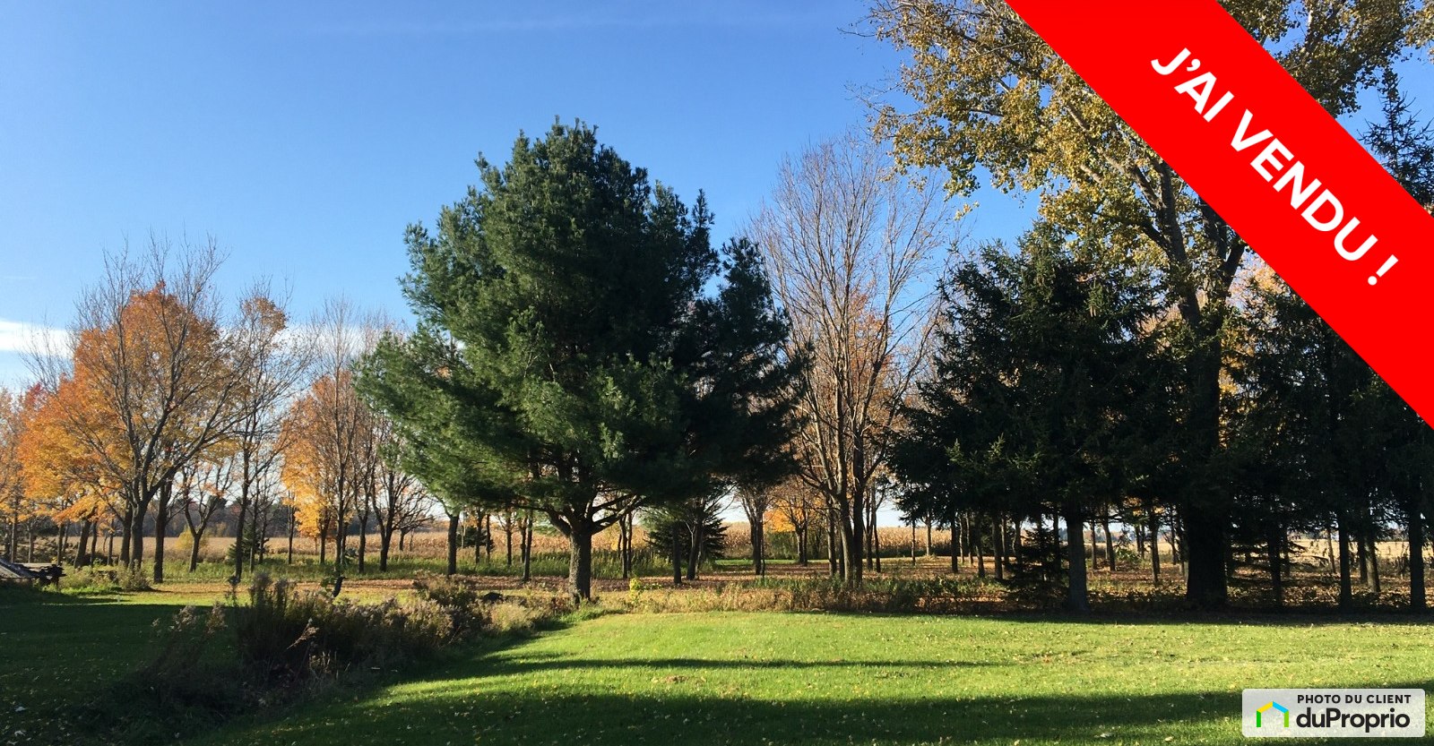 vuedensembleterrainresidentielstbernarddemichaudville1600