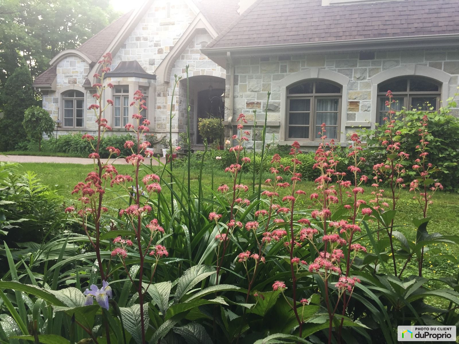 Maison 2 étages à vendre SteAnneDesLacs 5 chambres 1028749